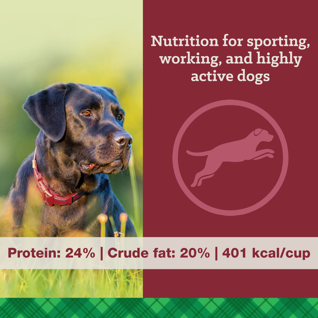 Nutrena Feeds True High Energy 24/20 Dog Food