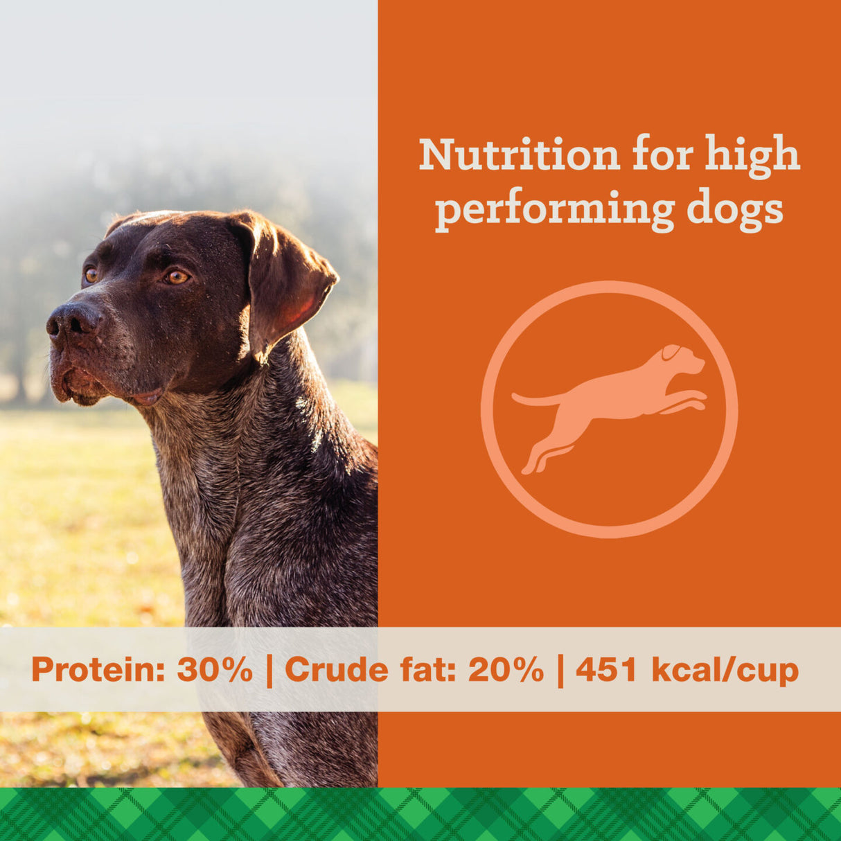 Nutrena Feeds True Professional 30/20 Dog Food
