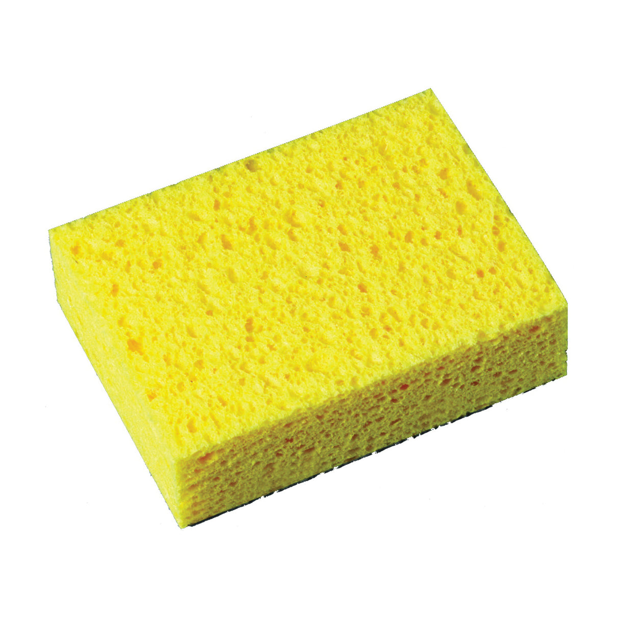 Scotch-Brite Commercial Sponge