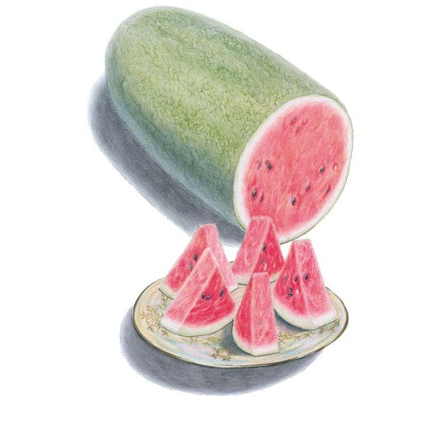 Botanical Interests Charleston Gray Watermelon Seed
