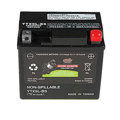 Interstate Batteries Wet Battery / 80CCA