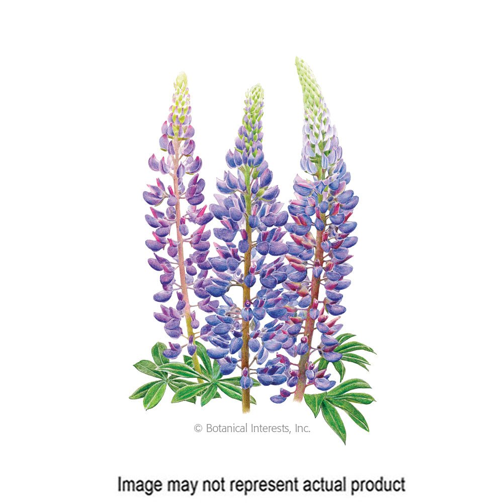 Botanical Interests Flower Seed