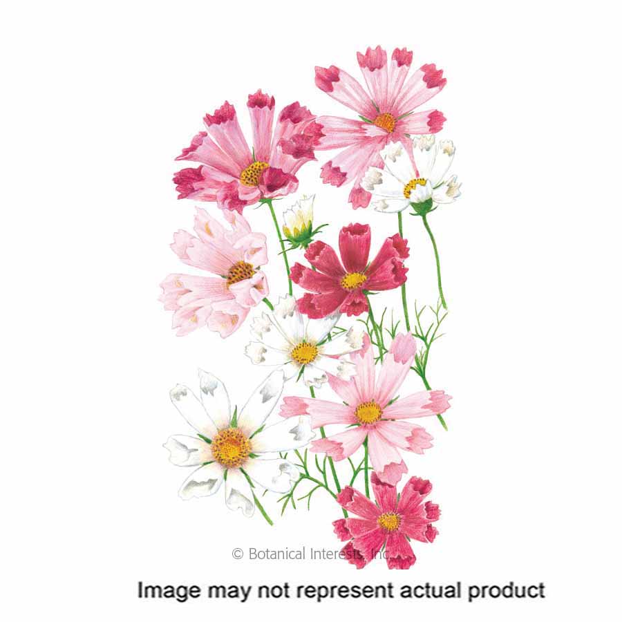 Botanical Interests Flower Seed