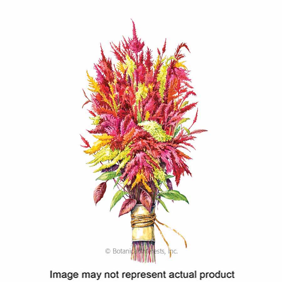 Botanical Interests Flower Seed