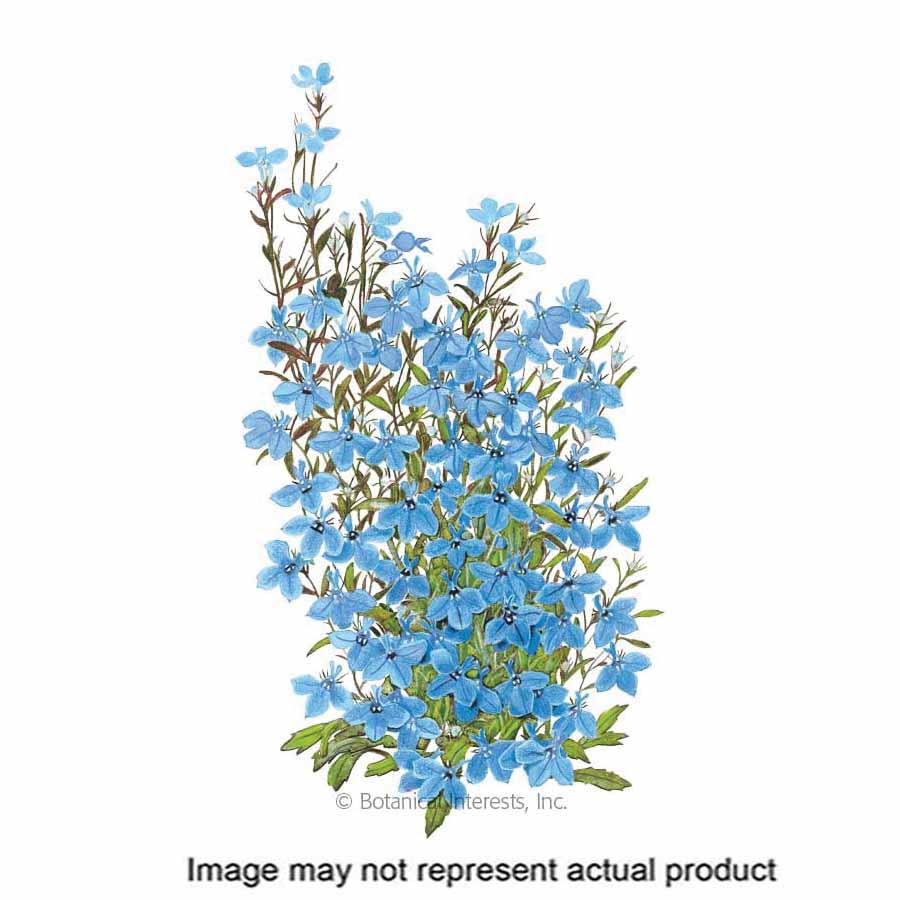 Botanical Interests Flower Seed