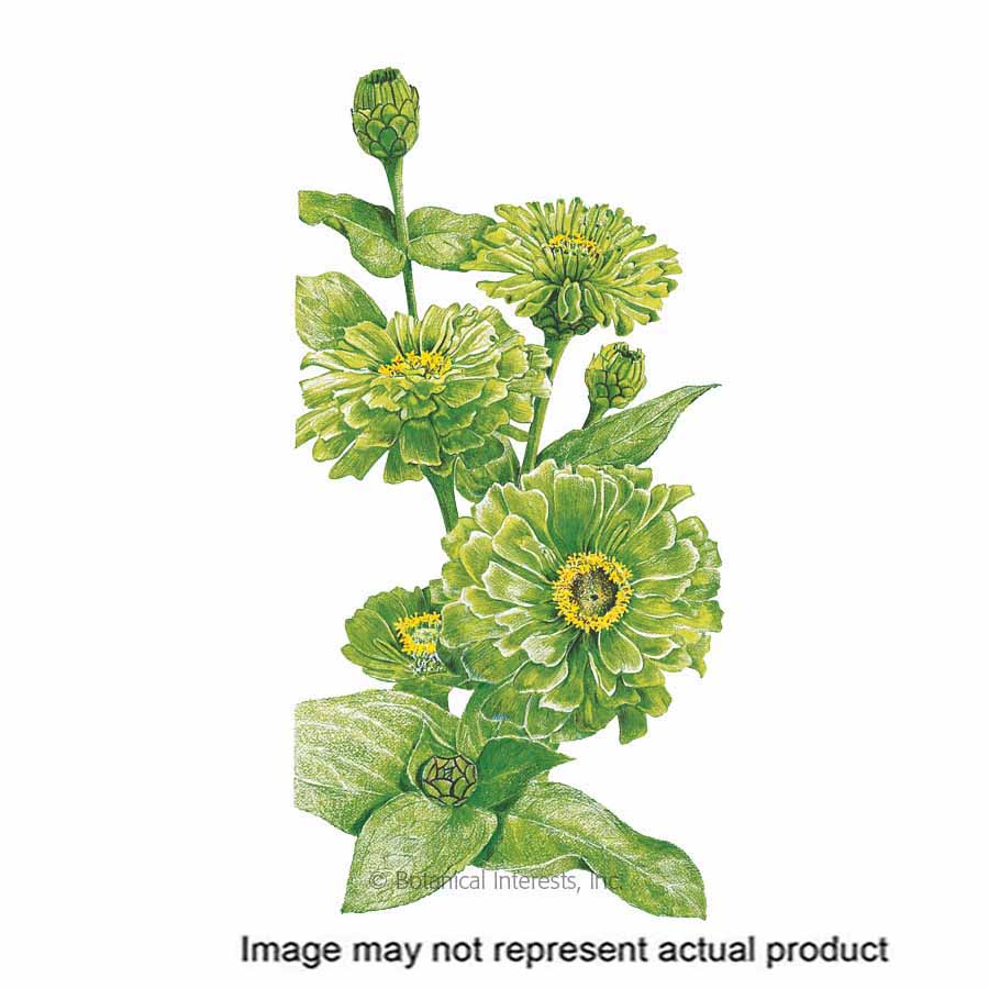 Botanical Interests Flower Seed