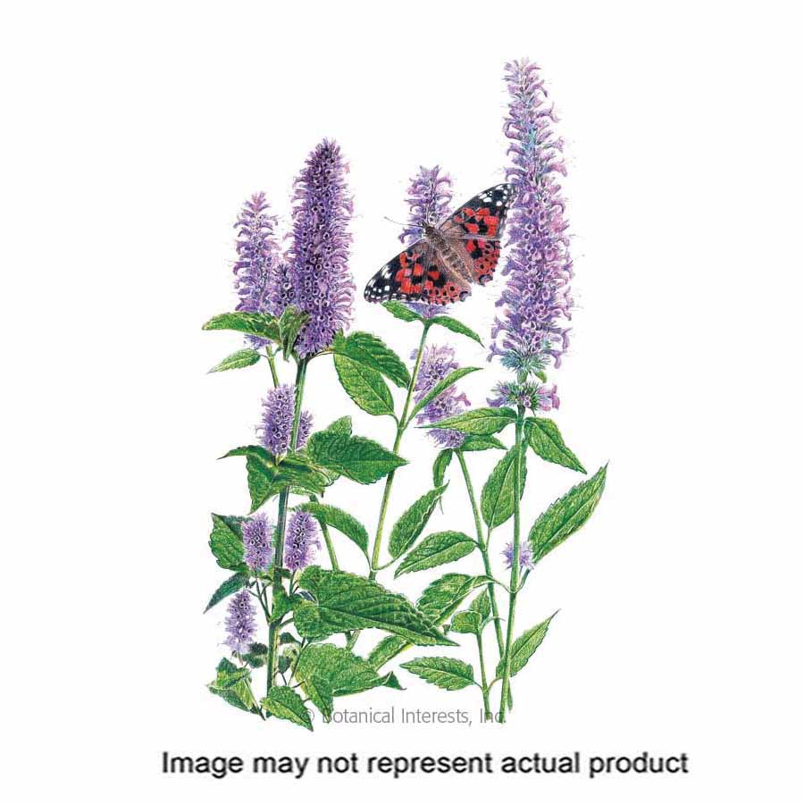 Botanical Interests Flower Seed