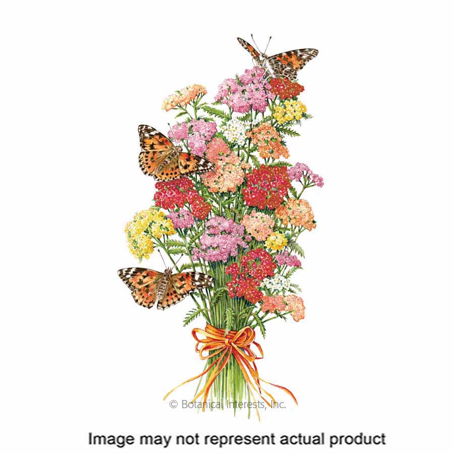 Botanical Interests Flower Seed