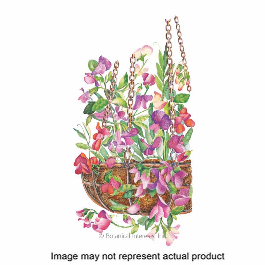 Botanical Interests Flower Seed
