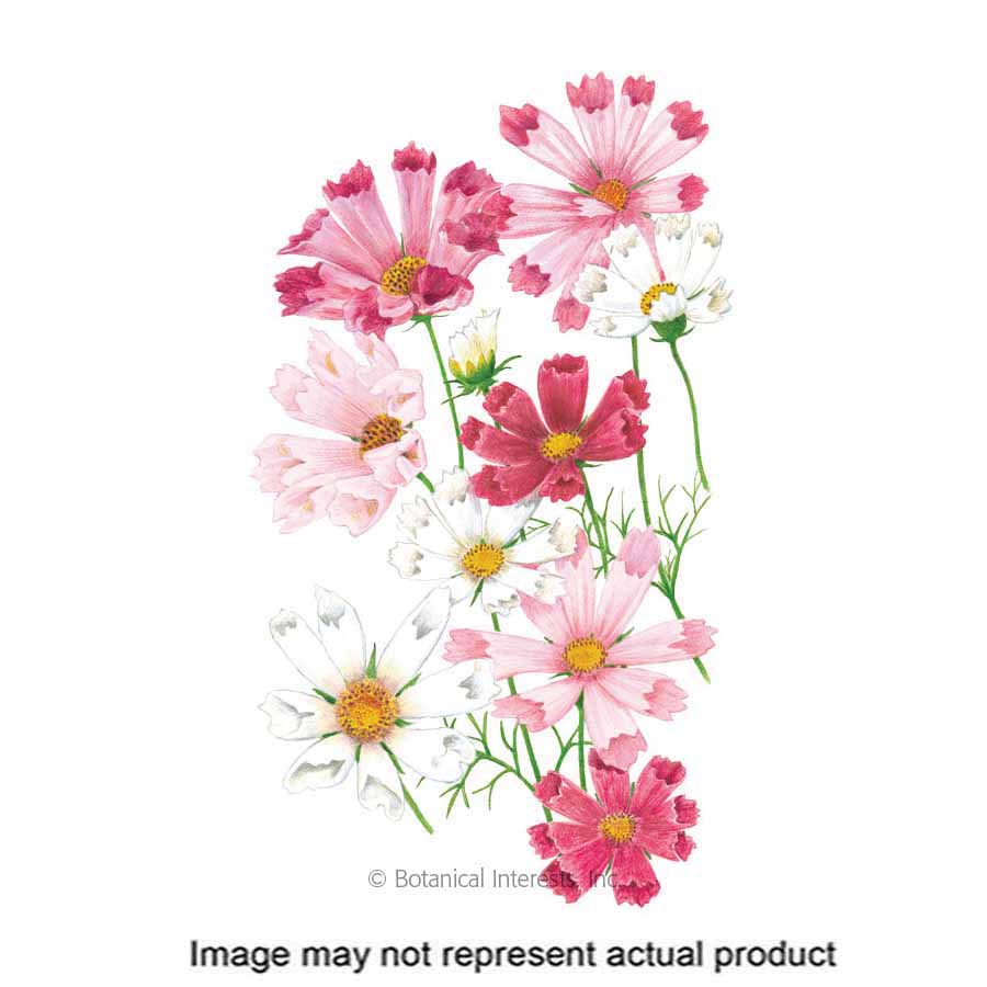 Botanical Interests Flower Seed