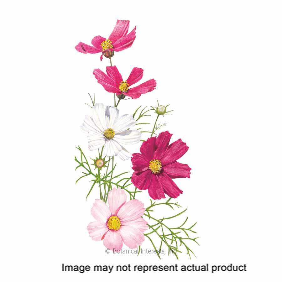 Botanical Interests Flower Seed