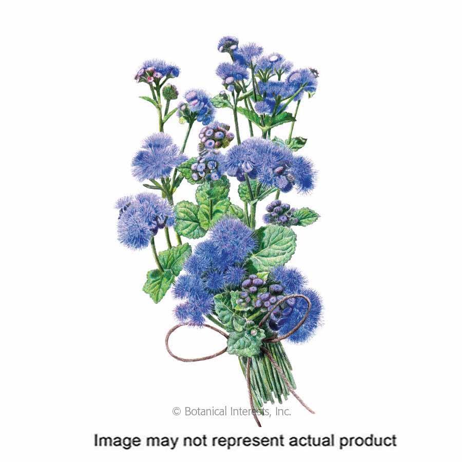 Botanical Interests Flower Seed