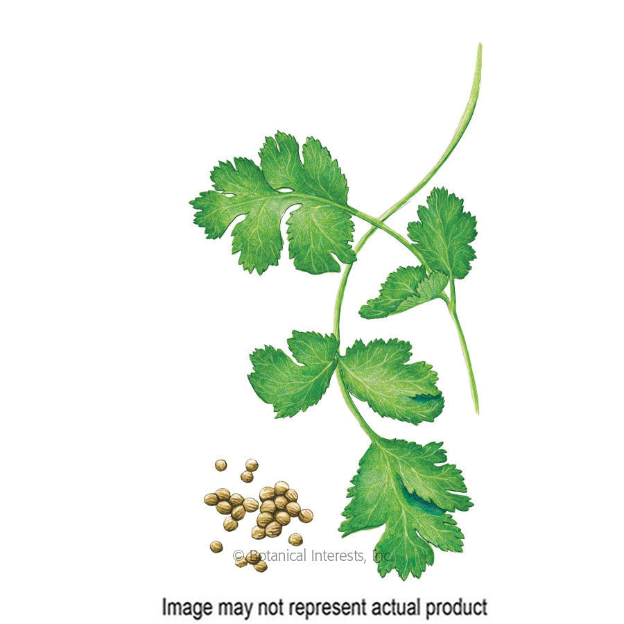 Botanical Interests Herb Seed