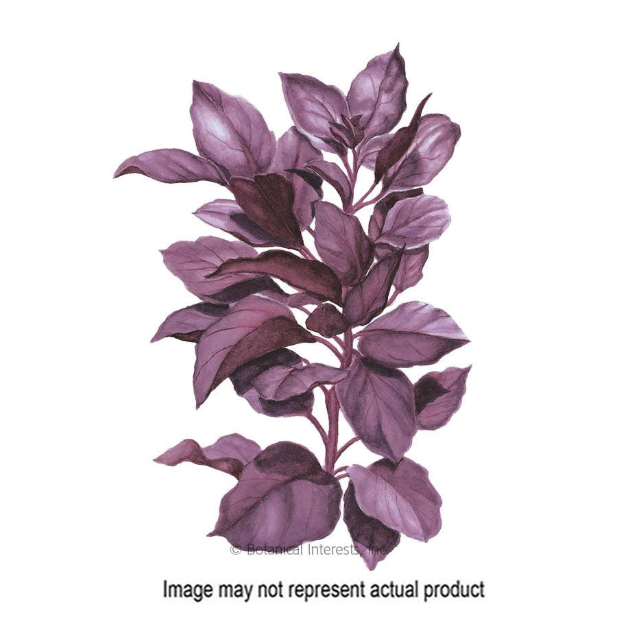 Botanical Interests Herb Seed