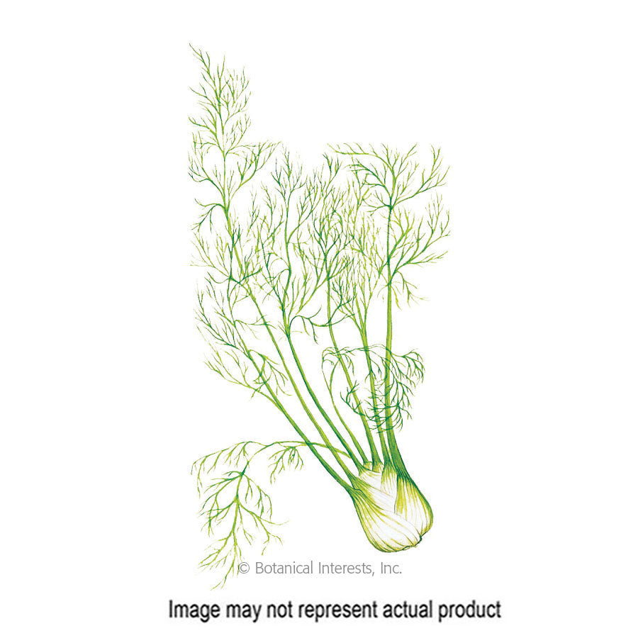 Botanical Interests Herb Seed