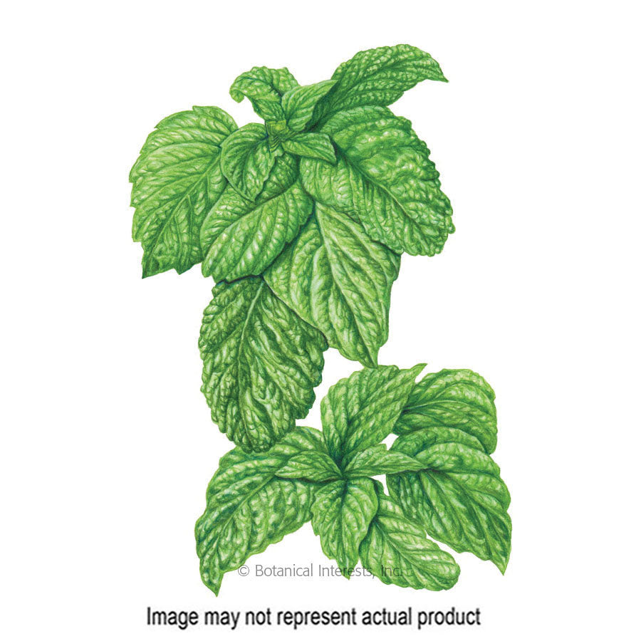 Botanical Interests Herb Seed