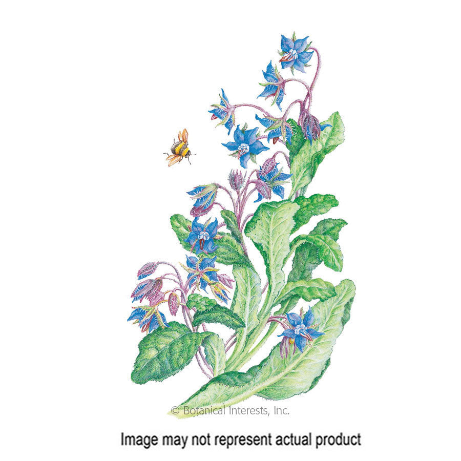 Botanical Interests Herb Seed