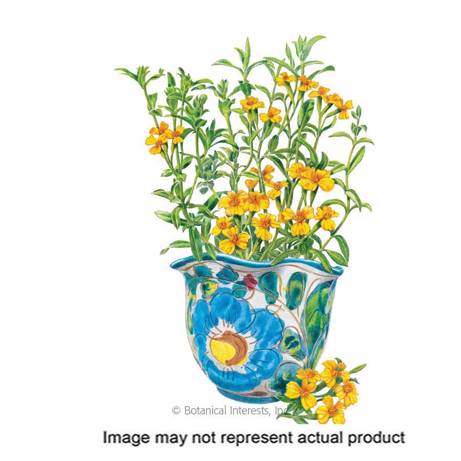 Botanical Interests Herb Seed