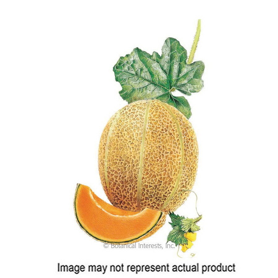 Botanical Interests Vegetable Seed