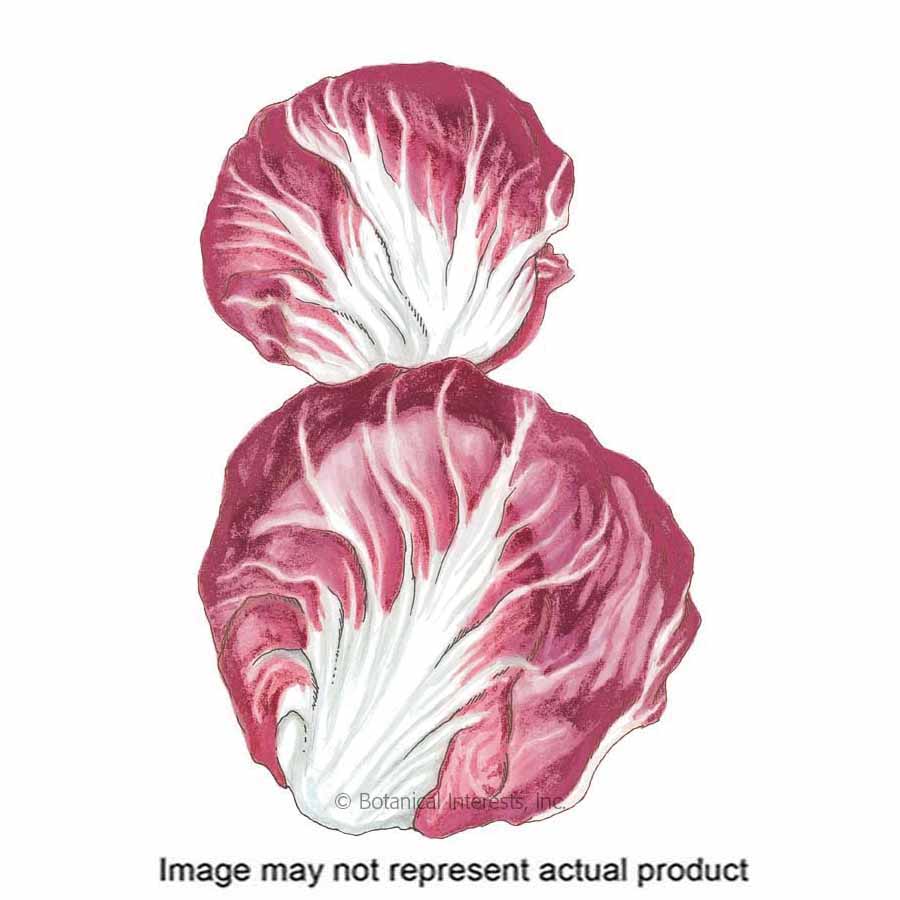 Botanical Interests Vegetable Seed