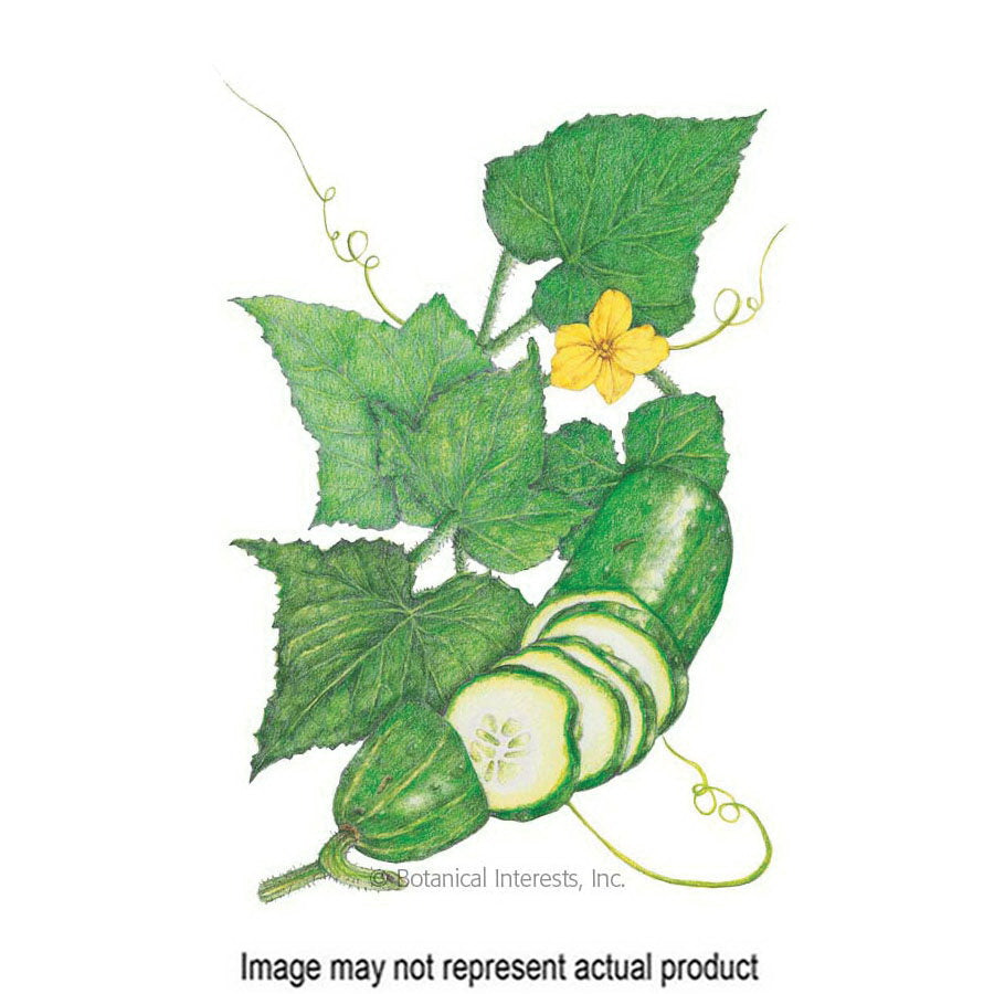 Botanical Interests Vegetable Seed