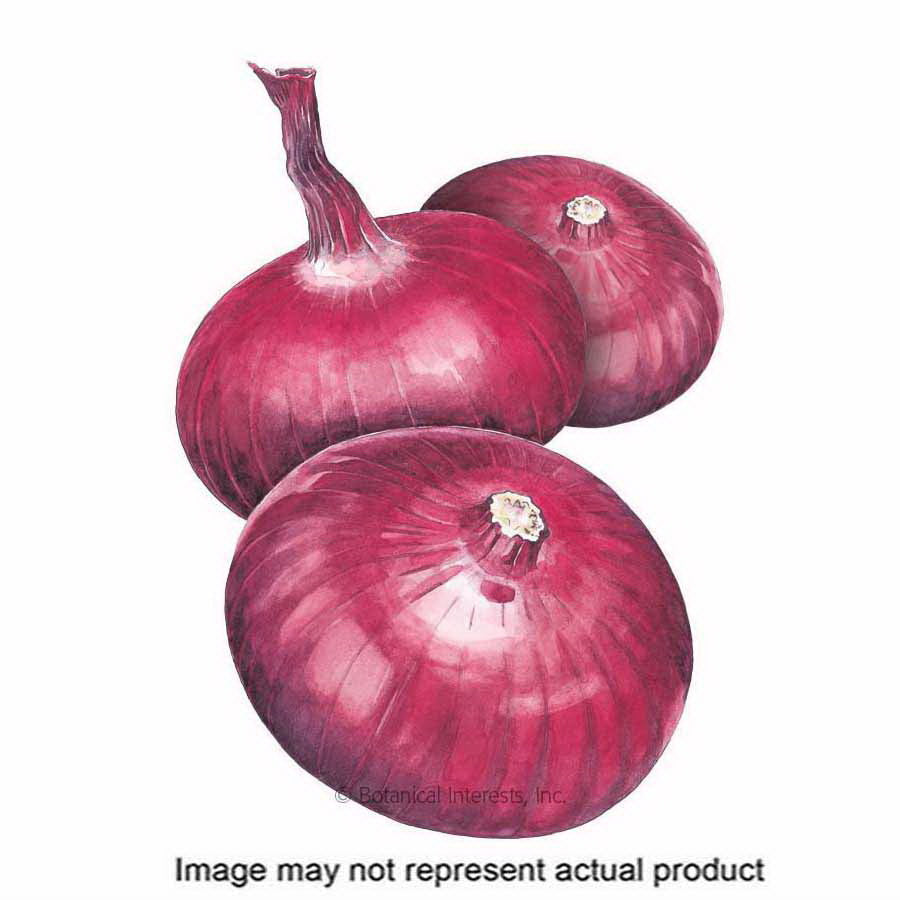Botanical Interests Vegetable Seed