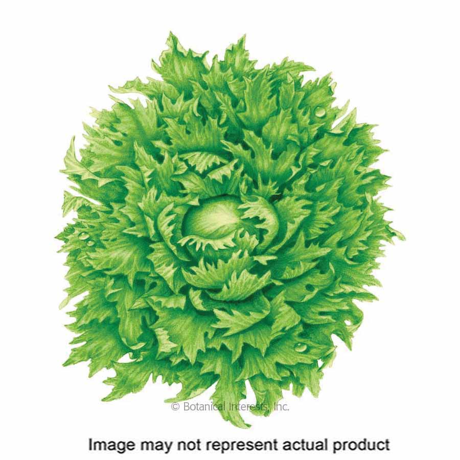 Botanical Interests Vegetable Seed