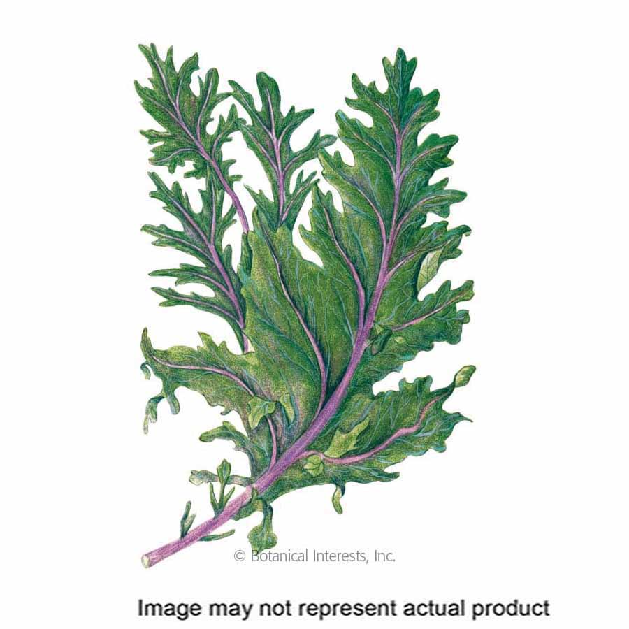 Botanical Interests Vegetable Seed