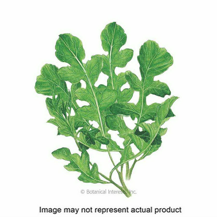 Botanical Interests Vegetable Seed