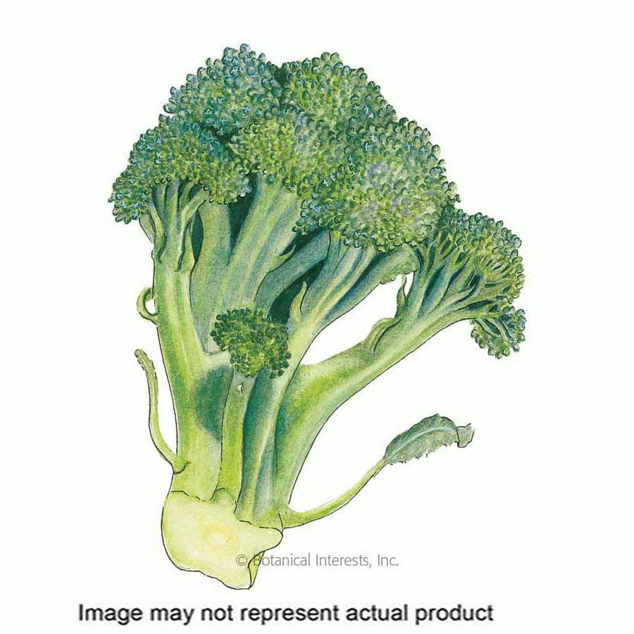 Botanical Interests Vegetable Seed