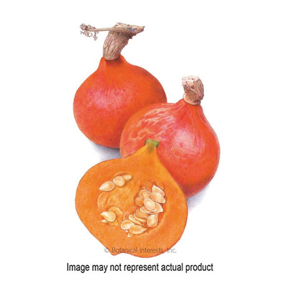 Botanical Interests Vegetable Seed
