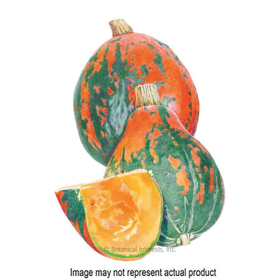Botanical Interests Vegetable Seed