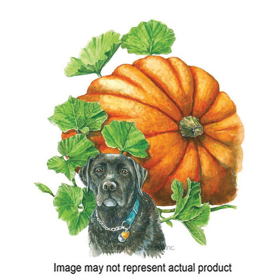 Botanical Interests Vegetable Seed