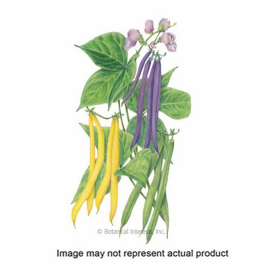 Botanical Interests Vegetable Seed