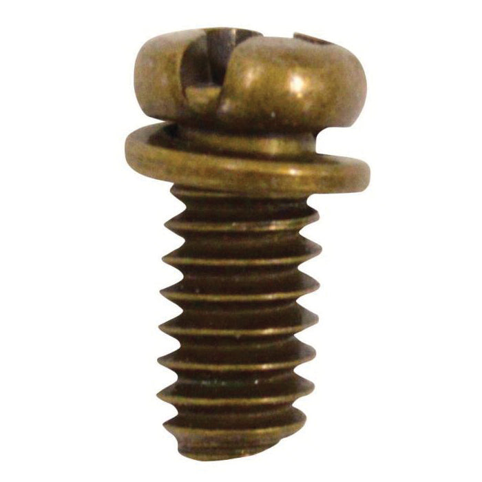 Westinghouse Motor Screw Kit