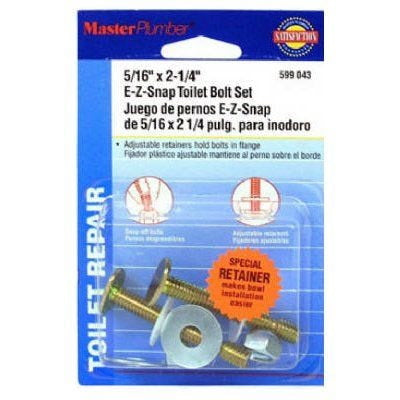 Master Plumber Toilet Flange Bolt Set