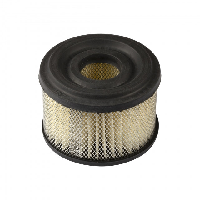Briggs & Stratton Bs390492 Air Cleaner Cartridge Filter