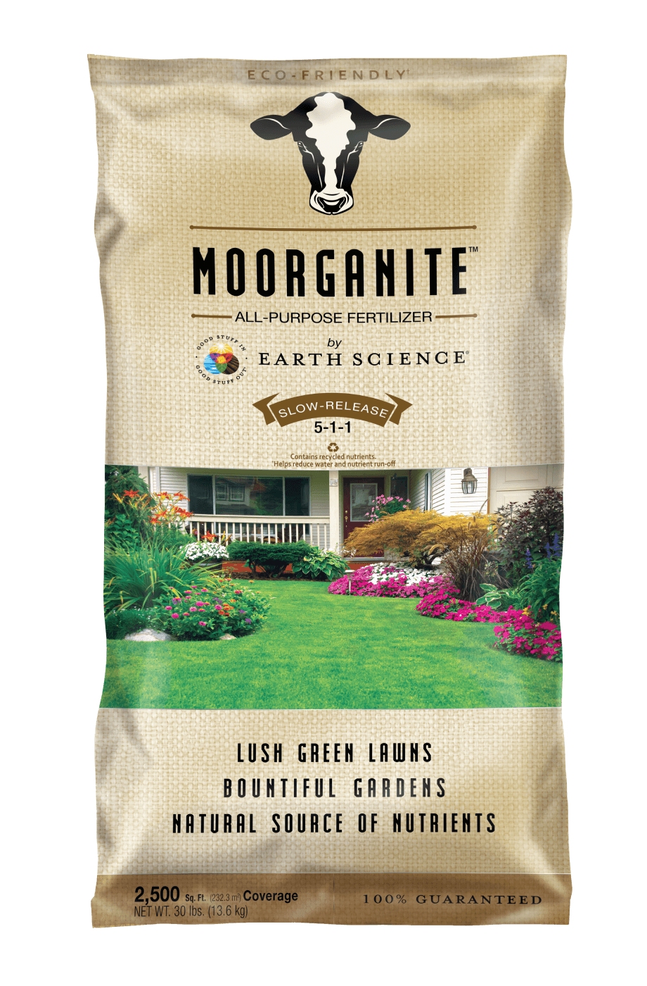 Earth Science Moorganite 5-1-1