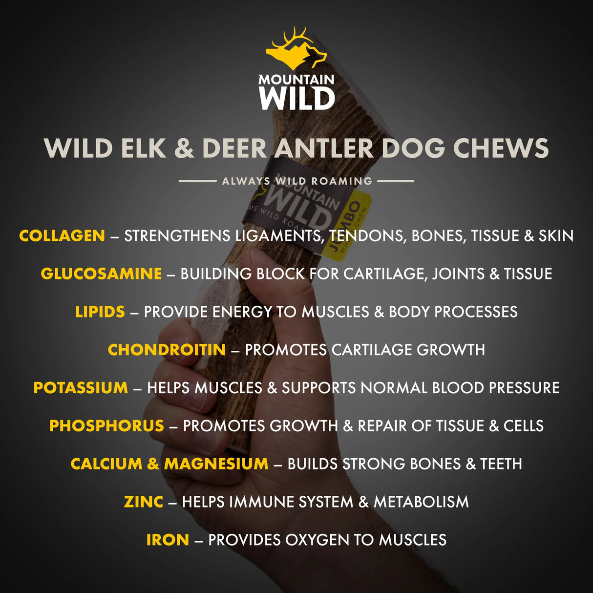 Mountain Wild Pet Whole Antler Chews - Medium / Large / X-Large