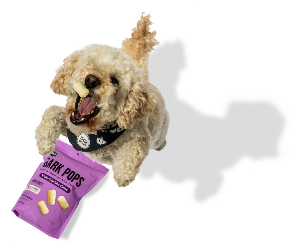 BIXBI Pet Bark Pops for Dogs - Rotisserie Chicken Recipe - 4oz