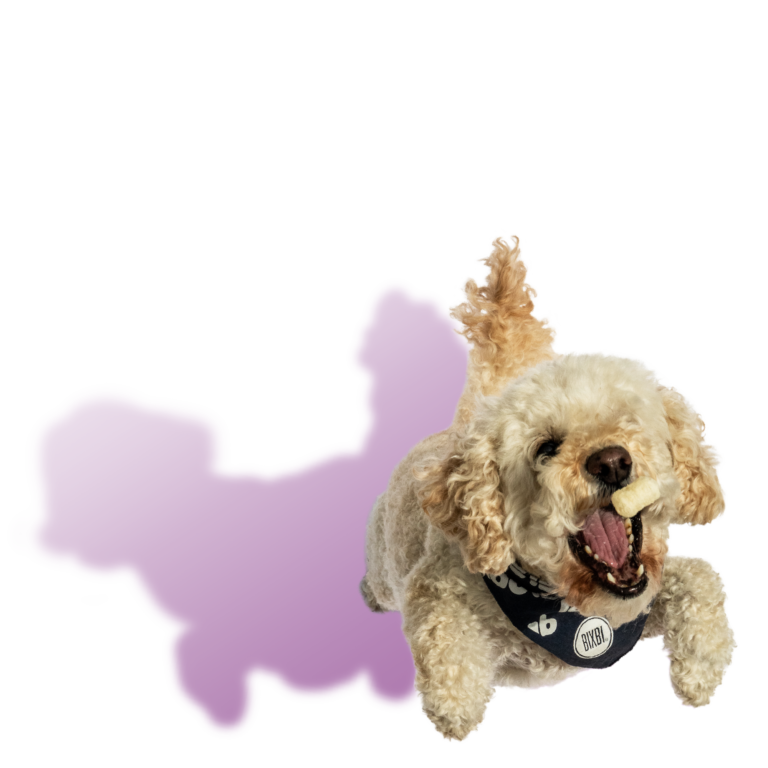 BIXBI Pet Bark Pops for Dogs - Sweet Potato & Apple Recipe - 4oz