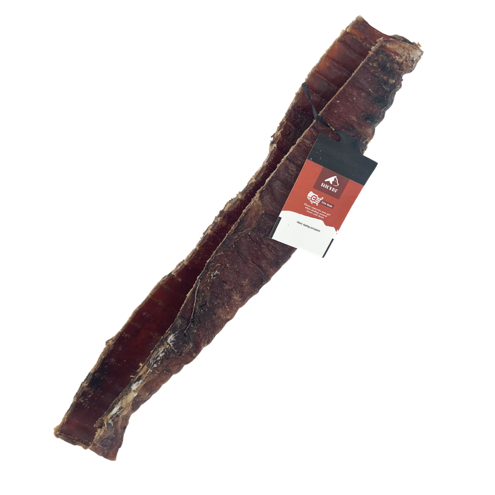 Bark 'N Big Bison Trachea Canoe Large 12in - Single 10IN-13IN