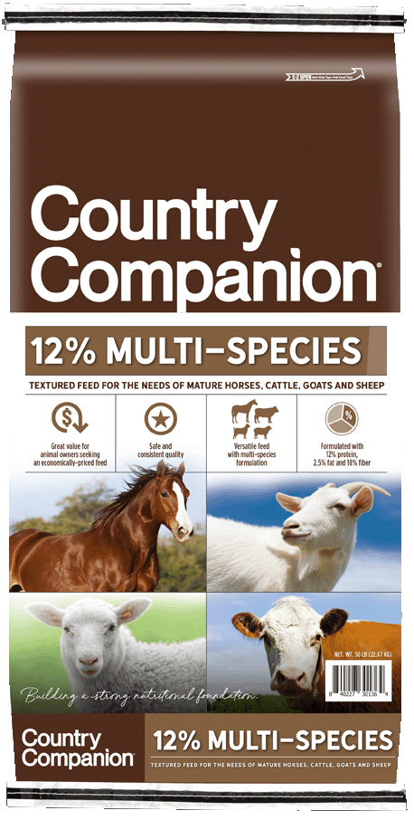 Country Companion 12% Multi-Species Textured