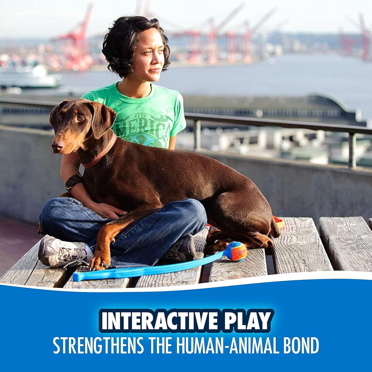 Chuckit! Junior Launcher Dog Toy - Medium / 18in.