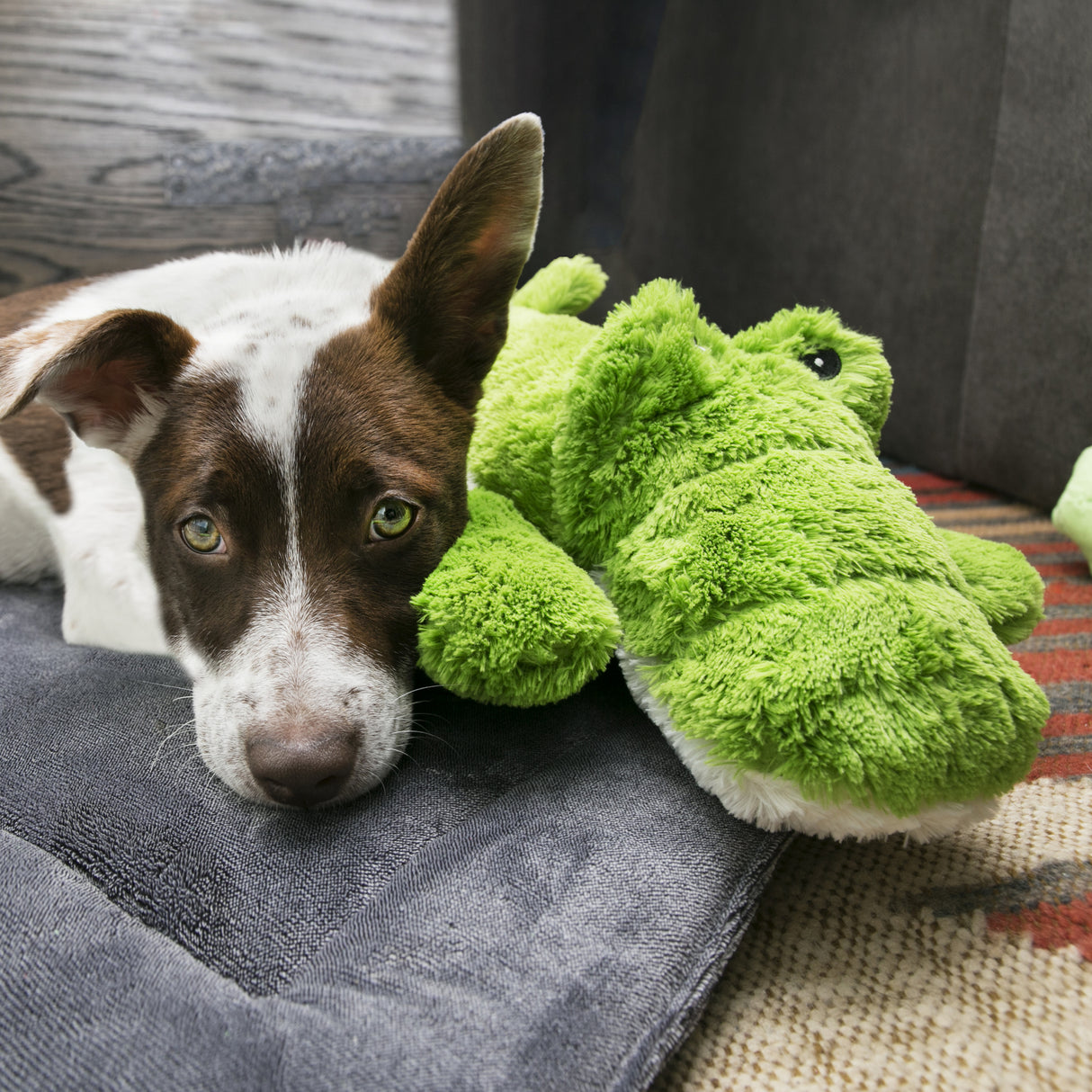 Kong Cozie Ali Alligator Plush Dog Toy - Large