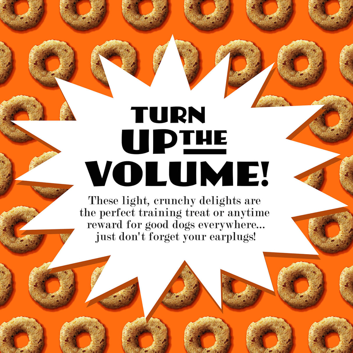 Fromm Family Pet Food Crunchy Os Peanut Butter Jammers Flavor Dog Treats - 6 oz.