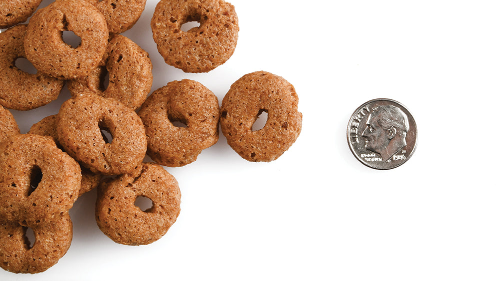 Fromm Family Pet Food Crunchy Os Slammon' Smoked Salmon Flavor Dog Treats - 6 oz.