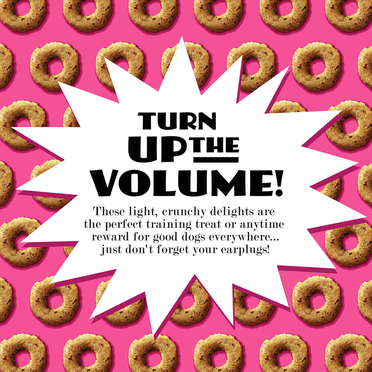 Fromm Family Pet Food Crunchy Os Slammon' Smoked Salmon Flavor Dog Treats - 6 oz.