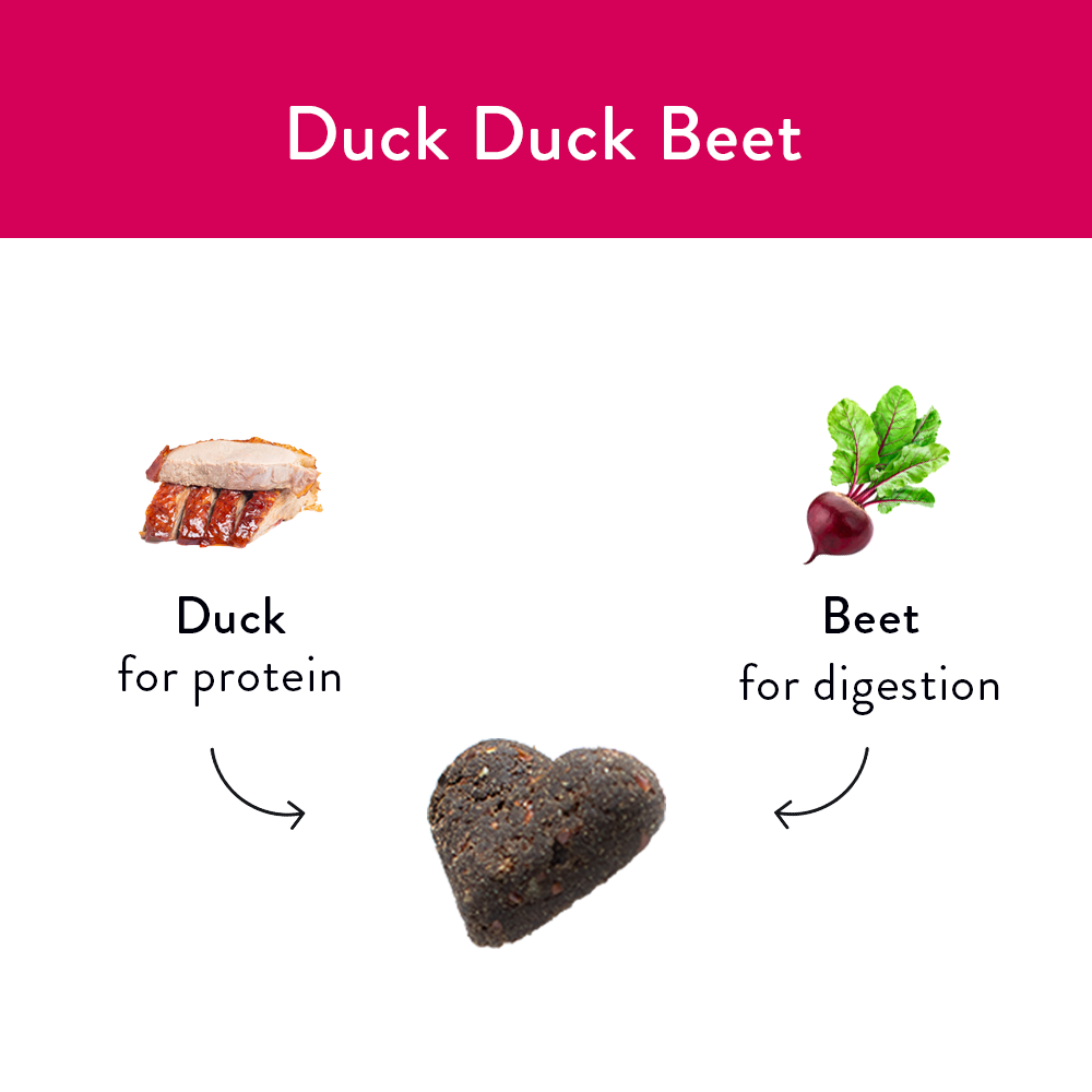 Shameless Pet Duck, Duck, Beet Soft Baked Dog Treat