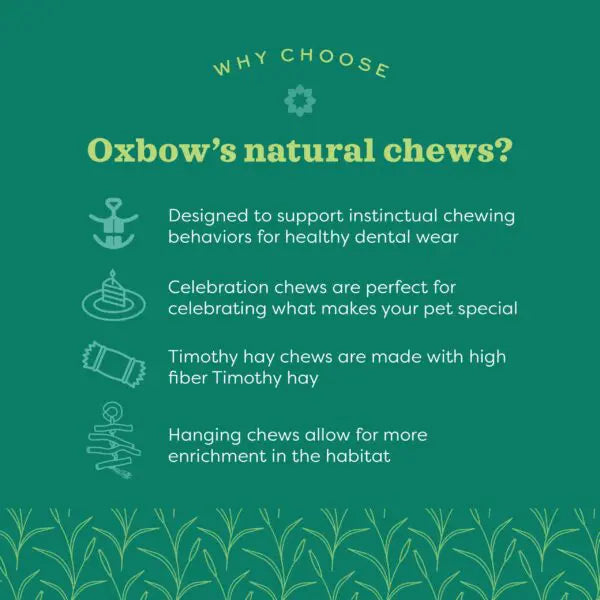 Oxbow Animal Health Enriched Life Natural Dangly Chews Party Pack